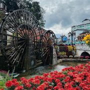 z5530555218704_fa34b41d3b8ac24977421d80e2149644